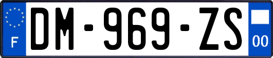 DM-969-ZS