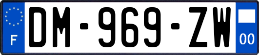 DM-969-ZW