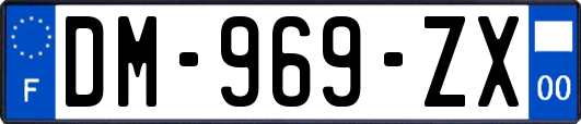 DM-969-ZX