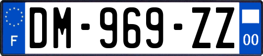 DM-969-ZZ