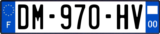 DM-970-HV