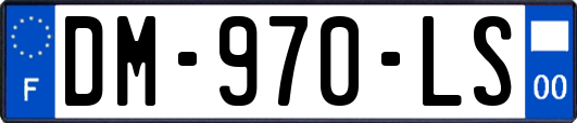 DM-970-LS