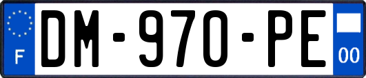 DM-970-PE