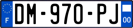 DM-970-PJ