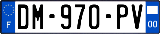 DM-970-PV
