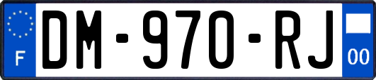 DM-970-RJ