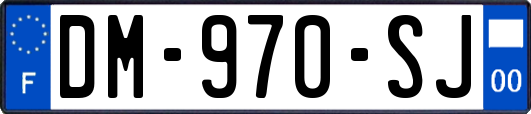 DM-970-SJ