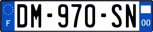 DM-970-SN