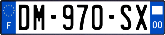 DM-970-SX