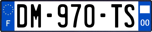 DM-970-TS