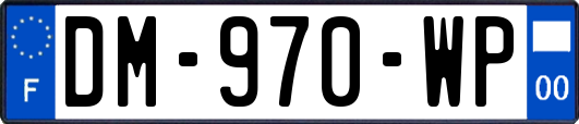 DM-970-WP