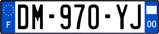 DM-970-YJ