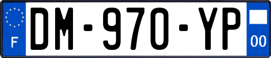 DM-970-YP