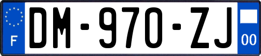 DM-970-ZJ