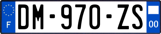 DM-970-ZS