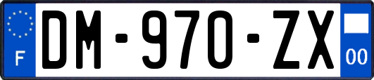 DM-970-ZX