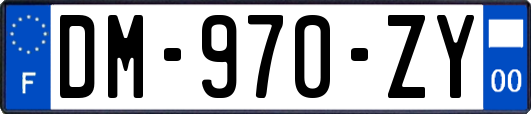 DM-970-ZY