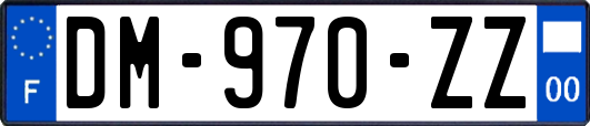 DM-970-ZZ