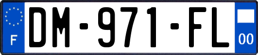 DM-971-FL