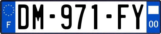 DM-971-FY