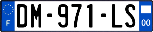 DM-971-LS