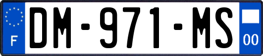 DM-971-MS