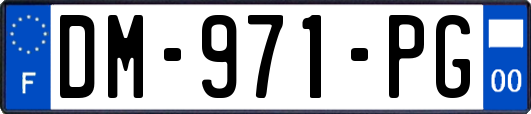 DM-971-PG