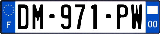 DM-971-PW