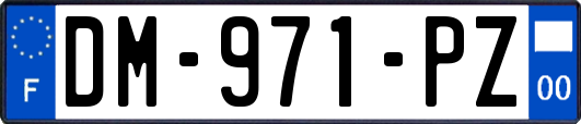 DM-971-PZ