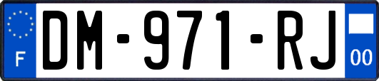 DM-971-RJ