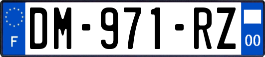 DM-971-RZ