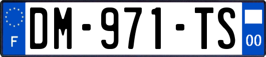 DM-971-TS
