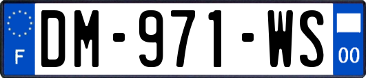 DM-971-WS