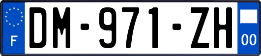 DM-971-ZH