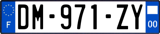 DM-971-ZY