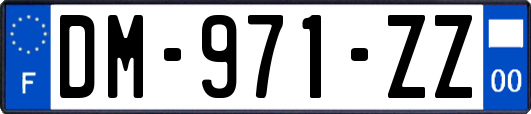 DM-971-ZZ