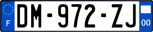 DM-972-ZJ