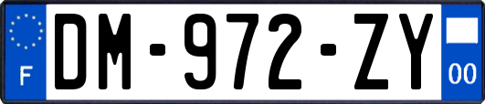 DM-972-ZY