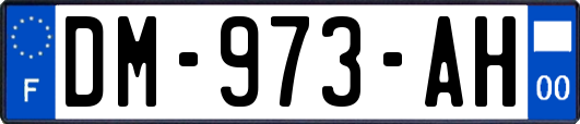 DM-973-AH