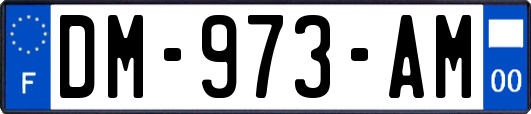 DM-973-AM