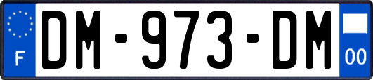 DM-973-DM