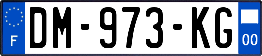 DM-973-KG