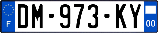 DM-973-KY