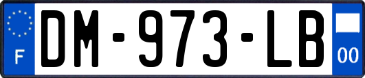 DM-973-LB