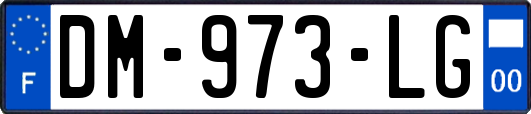 DM-973-LG