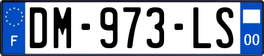 DM-973-LS