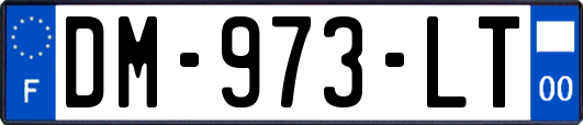 DM-973-LT