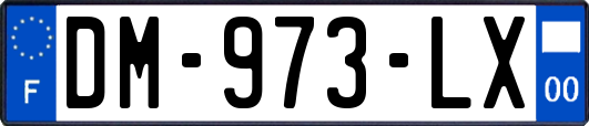 DM-973-LX