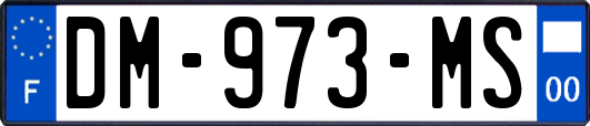 DM-973-MS