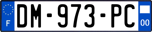 DM-973-PC